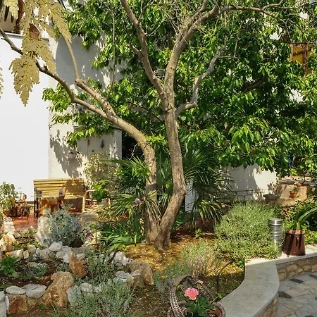 Finida Apartment Porec